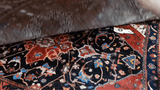 24318-Hamadan Hand-Knotted/Handmade Persian Rug/Carpet Traditional Authentic/ Size: 6'7" x 4'8"