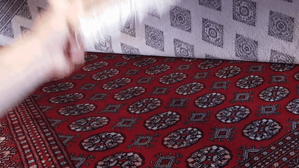 22437 - Jaldar Hand-knotted/Handmade Pakistani Rug/Carpet