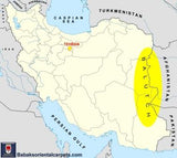 26779- Balutch War Rug/ Persian Hand-knotted Authentic/Nomadic/Tribal Rug/Carpet/ Size: 9'9" x 6'11"/297cm x 211cm