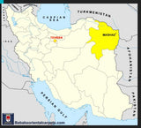 25771-Mashad Hand-Knotted/Handmade Persian Rug/Carpet Traditional Authentic/ Size: 9'9" x 6'6"/297cm x 198cm