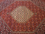 15044 - Bidjar Persian Hand-knotted Authentic/Traditional Carpet/Rug/ Size: 9'9" x 6'10"/ 297cm x 208cm