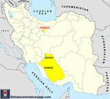 16767 - Abadeh Hand-Knotted/Handmade Persian  Rug/Carpet Traditional/Authentic/ Size: 9'10" x 6'6"/ 300cm x 198cm