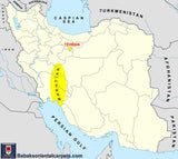 20354 - Bakhtiar Hand-Knotted/Handmade Persian Rug/Carpet Traditional Authentic/ Size :10'1" x 6'8"/ 307cm x 203cm