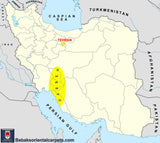 15083 - Lori Persian Hand-Knotted Authentic/Nomadic/Tribal Gabbeh/ Size: 9'1" x 6'3" / 277cm x 191cm