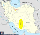 20862-Ghashgai Hand-Knotted/Handmade Persian Rug/Carpet Tribal/ Nomadic/Authentic/Size: 10'3" x 6'9"/ 313cm x 206cm