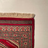 25100- Jaldar Hand-knotted/Handmade Pakistani Rug/Carpet Traditional Authentic/Size: 2'11" x 2'0"/89cm x 61cm