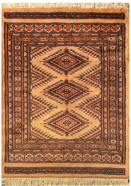 25101- Jaldar Hand-knotted/Handmade Pakistani Rug/Carpet Traditional Authentic/Size: 3'0" x 2'1"/91cm x 64cm