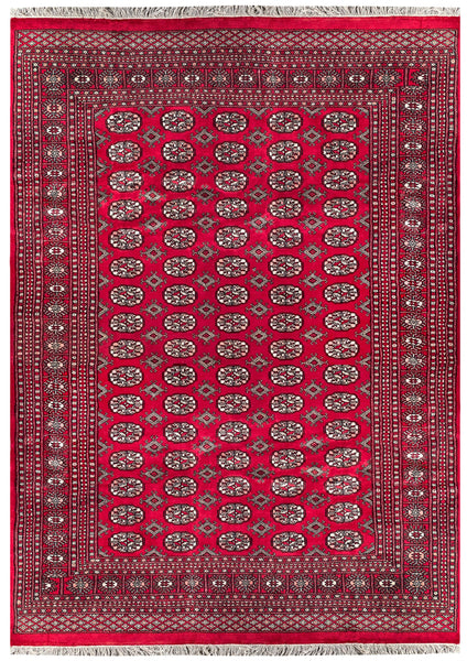 25297-Bokhara Hand-Knotted/Handmade Pakistani Rug/Carpet Tribal/Nomadic Authentic/ Size: 8'11" x 6'0"/272cm x 183cm