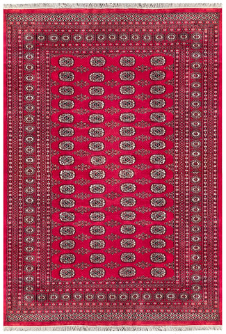 25293-Bokhara Hand-Knotted/Handmade Pakistani Rug/Carpet Tribal/Nomadic Authentic/ Size: 10'1" x 6'7"/307cm x 201cm