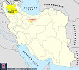 13429 - Tabriz Persian Hand-knotted Authentic/Traditional Carpet/Rug Silk-made/ Size: 9'11" x 6'7"/ 302cm x 201cm