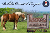 14646 - Shiraz Persian Hand-weaved Antique Authentic/Traditional Nomadic/Tribal/ Size: 6'4" x 4'9"
