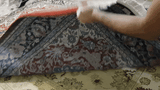 15274-Sarough Hand-Knotted/Handmade Persian Rug/Carpet Traditional Authentic/ Size: 9'5"x 6'10"