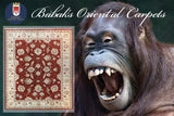 19224-Chobi Ziegler Hand-Knotted/Handmade Afghan Rug/Carpet Traditional Authentic/ Size: 7'11''x 6'7''