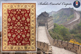 19255-Chobi Ziegler Hand-Knotted/Handmade Afghan Rug/Carpet Tribal/Nomadic Authentic/ Size: 8'3" x 5'9"