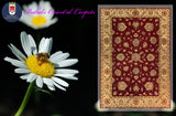 19272-Chobi Ziegler Hand-Knotted/Handmade Afghan Rug/Carpet Tribal/Nomadic Authentic/ Size: 7'8" x 5'6"