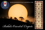 19308-Chobi Ziegler Hand-Knotted/Handmade Afghan Rug/Carpet Tribal/Nomadic Authentic/ Size: 11'9" x 2'8"