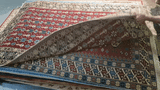 19359-Royal Shirvan Handmade/Hand-knotted Afghan Rug/Carpet Tribal/Nomadic Authentic/ Size: 7'6" x 5'2"
