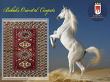 19366-Royal Shirvan Handmade/Hand-knotted Afghan Rug/Carpet Tribal/Nomadic Authentic/ Size: 6'5" x 4'9"
