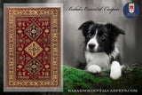 19390-Royal Shirvan Handmade/Hand-knotted Afghan Rug/Carpet Tribal/Nomadic Authentic/ Size: 7'2" x 5'0"