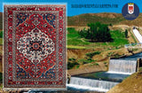 19771- Bakhtiar Hand-Knotted/Handmade Persian Rug/Carpet Traditional Authentic/ Size: 6'9" x 5'0"