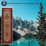 20379 -Hamadan Hand-Knotted/Handmade Persian Rug/Carpet Traditional Authentic/Size: 9'8" x 2'10"