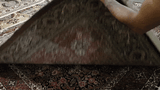 20573-Bidjar Hand-Knotted/Handmade Persian Rug/Carpet Traditional Authentic/ Size: 6'6" x 5'11"
