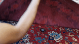 22282 -Royal Khal Mohammad Hand-Knotted/Handmade Afghan Rug/Carpet Traditional Authentic/Size: 12'2" x 7'8"