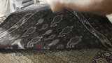 22583-Sarough Hand-Knotted/Handmade Persian Rug/Carpet Traditional Authentic/ Size: 9'6"x 6'7"