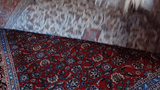 22605-Isfahan (circa 1960 Seirafian)/Hand-Knotted/Handmade Persian Rug/Carpet Traditional Authentic/ Size: 11'0" x 7'0"