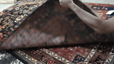 22845 - Hamadan Hand-Knotted/Handmade Persian Rug/Carpet Traditional Authentic/Size: 8'6" x 5'1"
