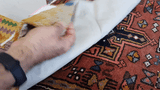 23282 - Kelim Hand-Woven/Flat Weaved/Handmade Afghan Kelim Pillow Cover/Carpet Tribal/Nomadic Authentic/Size: 1'8" x 1'8"