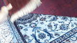 23340-Royal Khal Mohammad Hand-Knotted/Handmade Afghan Rug/Carpet/Traditional/Authentic/Size: 10'0" x 6'6"