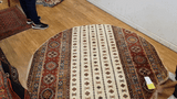 23802 - Chobi Ziegler Afghan Hand-Knotted Contemporary/Traditional /Size: 6'8" x 6'8"