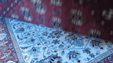 23912- Khal Mohammad Afghan Hand-Knotted Authentic/Traditional /Carpet/Rug/Size: 9'7" x 6'2"
