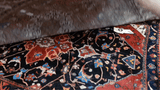 24318-Hamadan Hand-Knotted/Handmade Persian Rug/Carpet Traditional Authentic/ Size: 6'7" x 4'8"