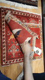 24431-Ghashgai Hand-Knotted/Handmade Persian Rug/Carpet Tribal// Nomadic Authentic/Size: 1'8" x 2'4"