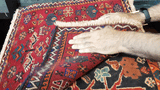 24453-Ghashgai Hand-Knotted/Handmade Persian Rug/Carpet Tribal / Nomadic Authentic/Size: 1'9" x 1'11"