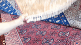 25003- Chobi Ziegler Afghan Hand-Knotted Contemporary/Traditional/Size: 9'9" x 6'8"/297cm x 203cm