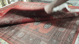 25051-Royal Bokhara Hand-Knotted/Handmade Pakistani Rug/Carpet Tribal/Nomadic Authentic/ Size/: 6'10" x 4'7"/208cm x 140cm