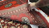 25058-Bokhara Hand-Knotted/Handmade Pakistani Rug/Carpet Tribal/Nomadic Authentic/ Size: 3'0" x 2'2"/91cm x 66cm