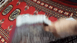 25067-Bokhara Hand-Knotted/Handmade Pakistani Rug/Carpet Tribal/Nomadic Authentic/ Size: 3'3" x 2'0"/99cm x 61cm
