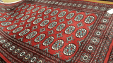 25223-Bokhara Hand-Knotted/Handmade Pakistani Rug/Carpet Tribal/Nomadic Authentic/ Size: 6'2" x 4'2"
