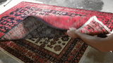 25653-Hamadan Hand-Knotted/Handmade Persian Rug/Carpet Traditional Authentic/ Size: 6'10" x 3'11"