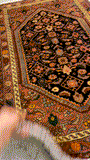 27200-Bidjar Hand-Knotted/Handmade Persian Rug/Carpet Traditional/ Authentic/ Size: 4'2"x 2'6"/127cm x 77cm