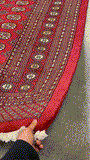 27916-Bokhara Hand-Knotted/Handmade Pakistani Rug/Carpet Tribal/Nomadic Authentic/ Size: 12'1" x 9'2"/368cm ×279cm