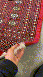 27915-Bokhara Hand-Knotted/Handmade Pakistani Rug/Carpet Tribal/Nomadic Authentic/ Size: 11'8" x 8'9"/356cm ×267cm