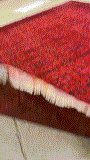 27914- Royal Chobi Ziegler Afghan Hand-Knotted Contemporary/Traditional/Size: 9'7" x 8'1"/292cmx 246cm
