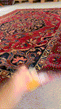 26872- Bakhtiar Hand-Knotted/Handmade Persian Rug/Carpet Traditional Authentic/ Size : 10'2" x 7'1"
