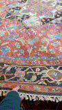 27897- Royal Heriz Hand-Knotted/Handmade Indian Rug/Carpet Traditional/Authentic/Size: 10'0" x 10'0"/305cmx 305cm