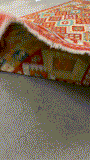 27775 - Kelim Hand-Woven/Flat-Weaved/Afghan Kelim/Carpet Modren/Nomadic Authentic/Size: 9'8" x 8'1"/295cm × 246cm